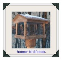 top hopper bird feeder